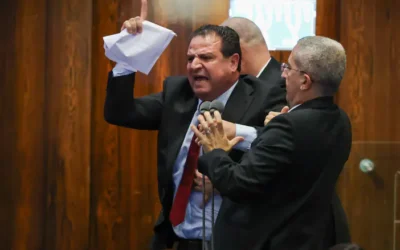 Ayman Odeh: We hope for the victory of the Palestinian people over the occupation