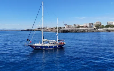 Gaza Flotilla organizers plan to livestream IDF interception