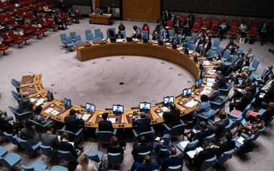US vetoes Security Council resolution, ‘unacceptable’ for what it says, doesn’t say, manner advanced – EJP