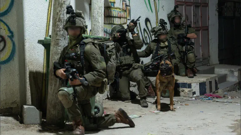 Haredi battalion returns to operational duty after controversy