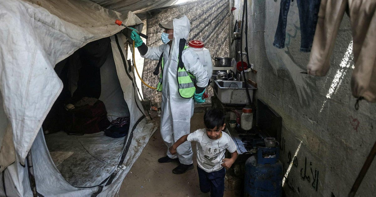 Rats, fleas and endless queues: Inside the daily misery of Gaza’s tent camps