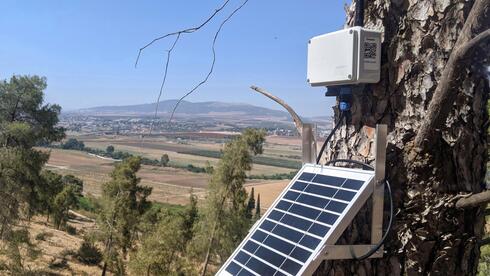 Detecting fire before it spreads: new technology aims to protect forests in Israel and beyond