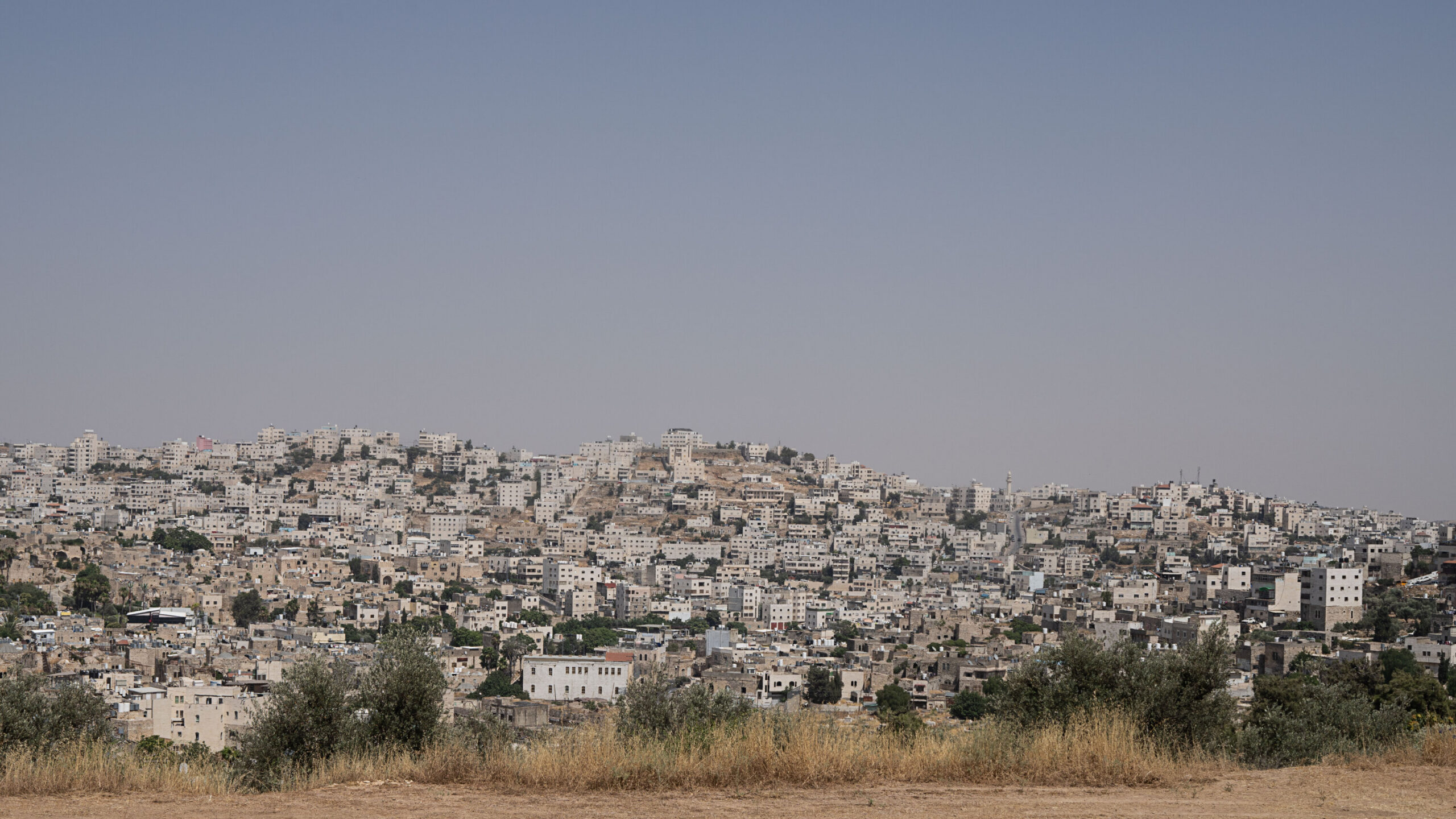 Opinion | Your Questions About Nicholas Kristof’s Column on Palestinians and Sexual Assault