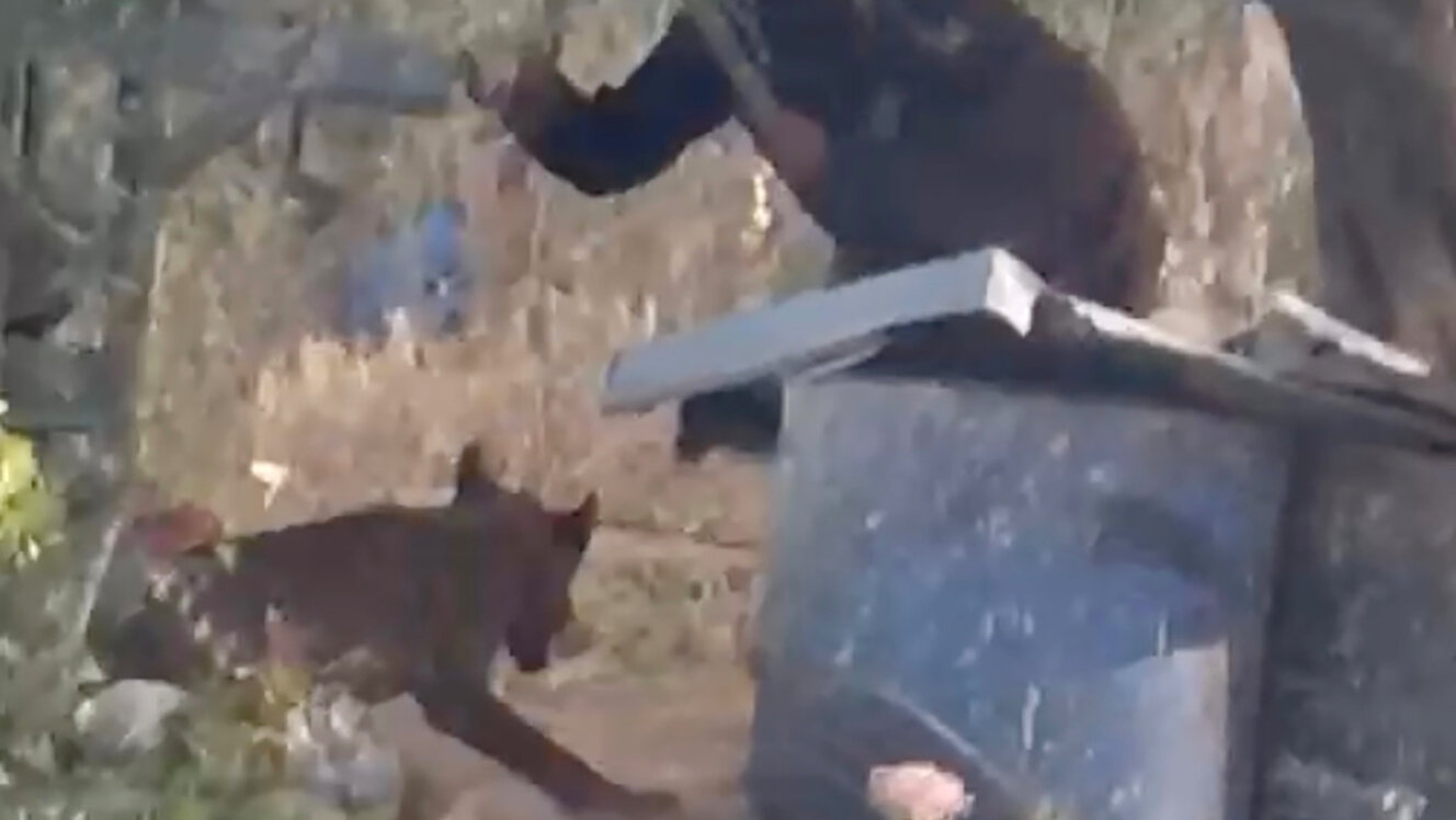 In West Bank, Latest Victim of Israeli Settler Violence Shocks in a New Way