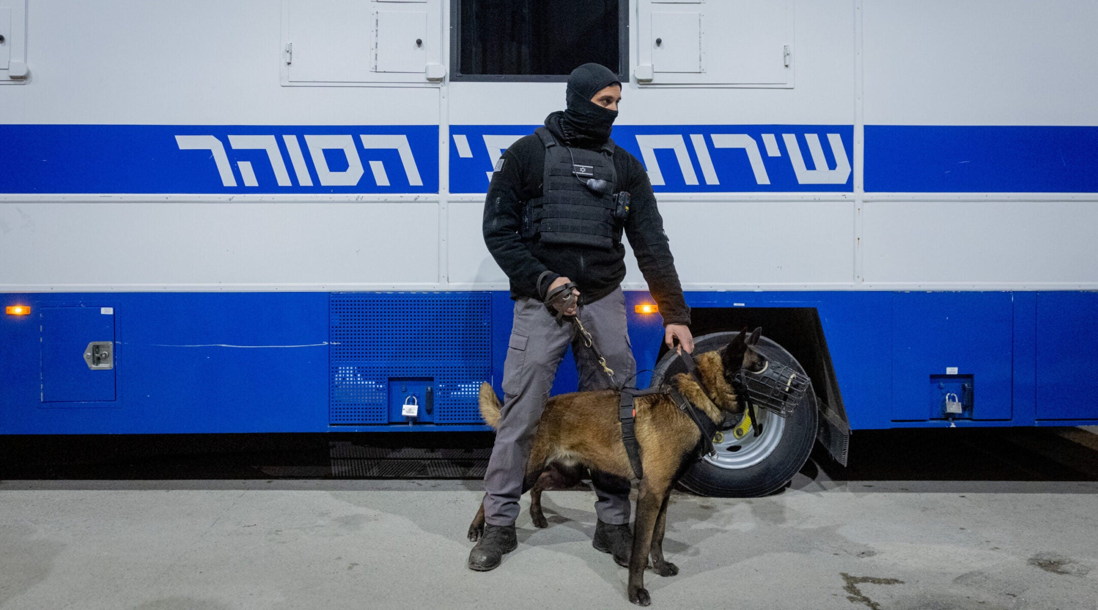 From Rutgers speaker to Kristof column, disputed dog rape claim against Israel goes mainstream