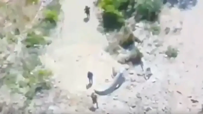 Watch: Seven terrorists spotted