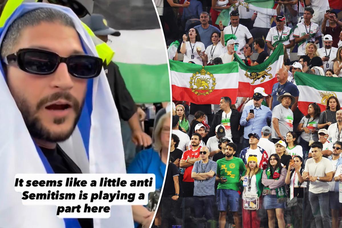 Moment Israeli flag-waving fan ejected from World Cup game — as Palestinian flag allowed to stay