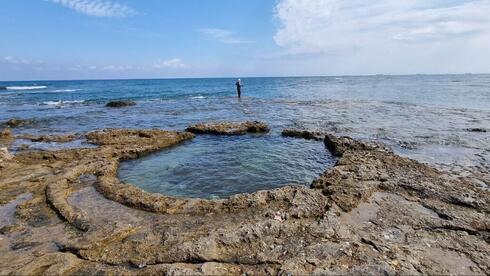 Israel’s hidden beach jacuzzi: the natural rock pool at Tel Shikmona