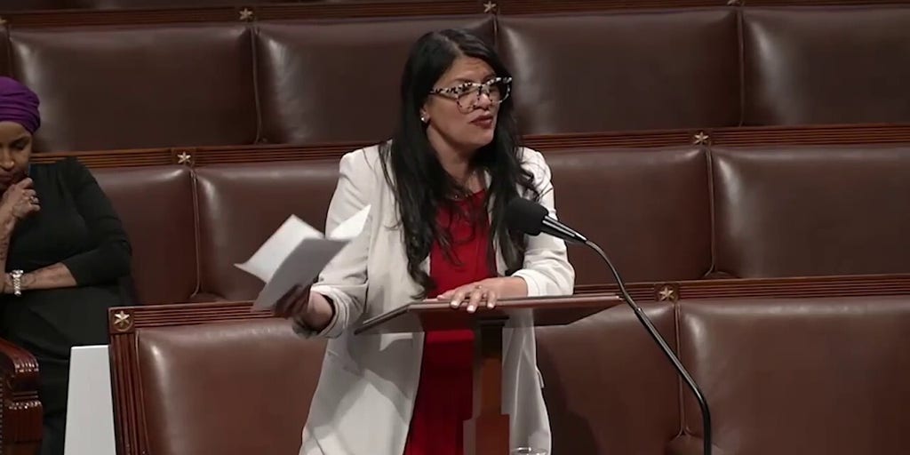 House floor erupts after Republican accuses Rep. Tlaib of Hezbollah ties | Fox News Video