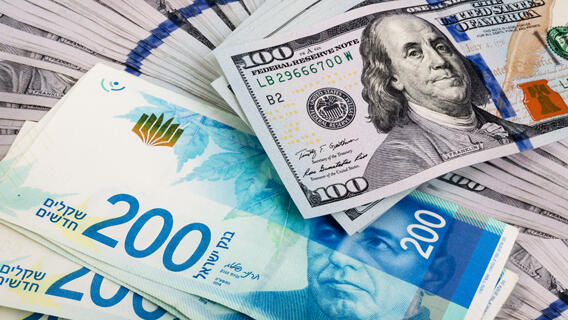 ‘Not a single dollar left’: demand for foreign currency soars after Bank of Israel rate-cut signal