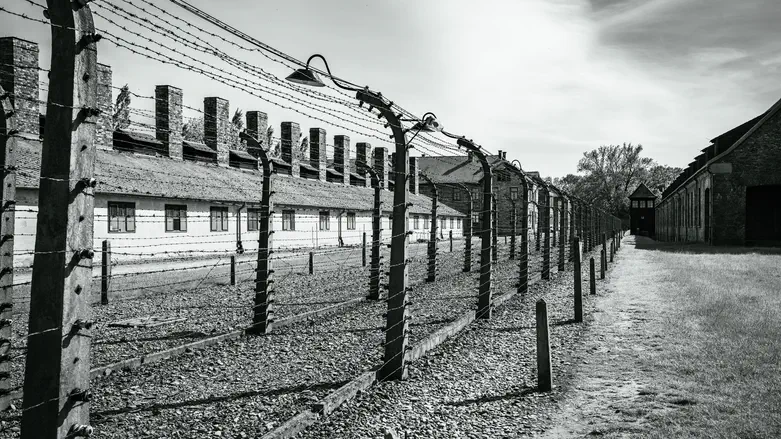 Holocaust scholar’s book canceled after refusal to bash Israel