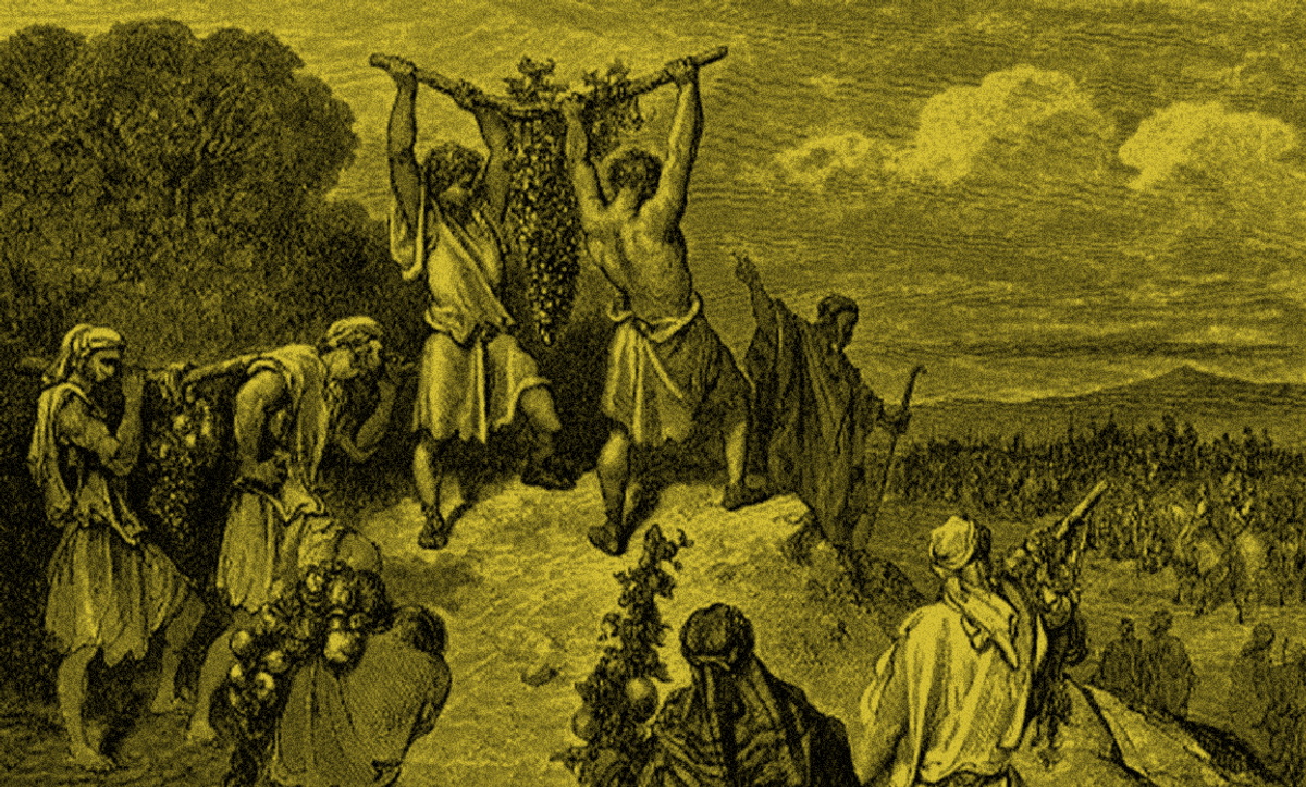 The Sin at the Root of Tisha B’Av – Tablet Magazine