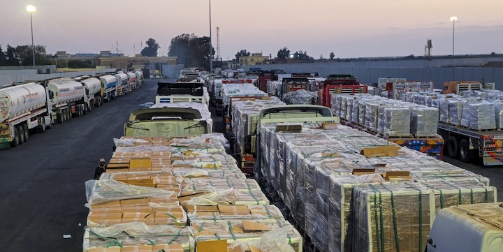 What Hamas’ Own Casualty Figures Reveal Is Not the War the Media Described
