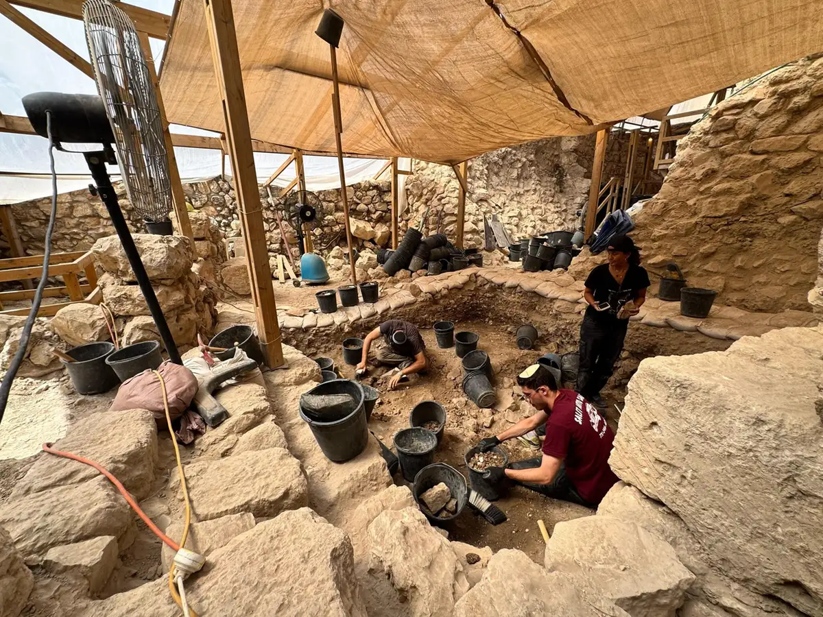 Charred Iron Age beams dating to destruction of Solomon’s Temple unearthed in Jerusalem