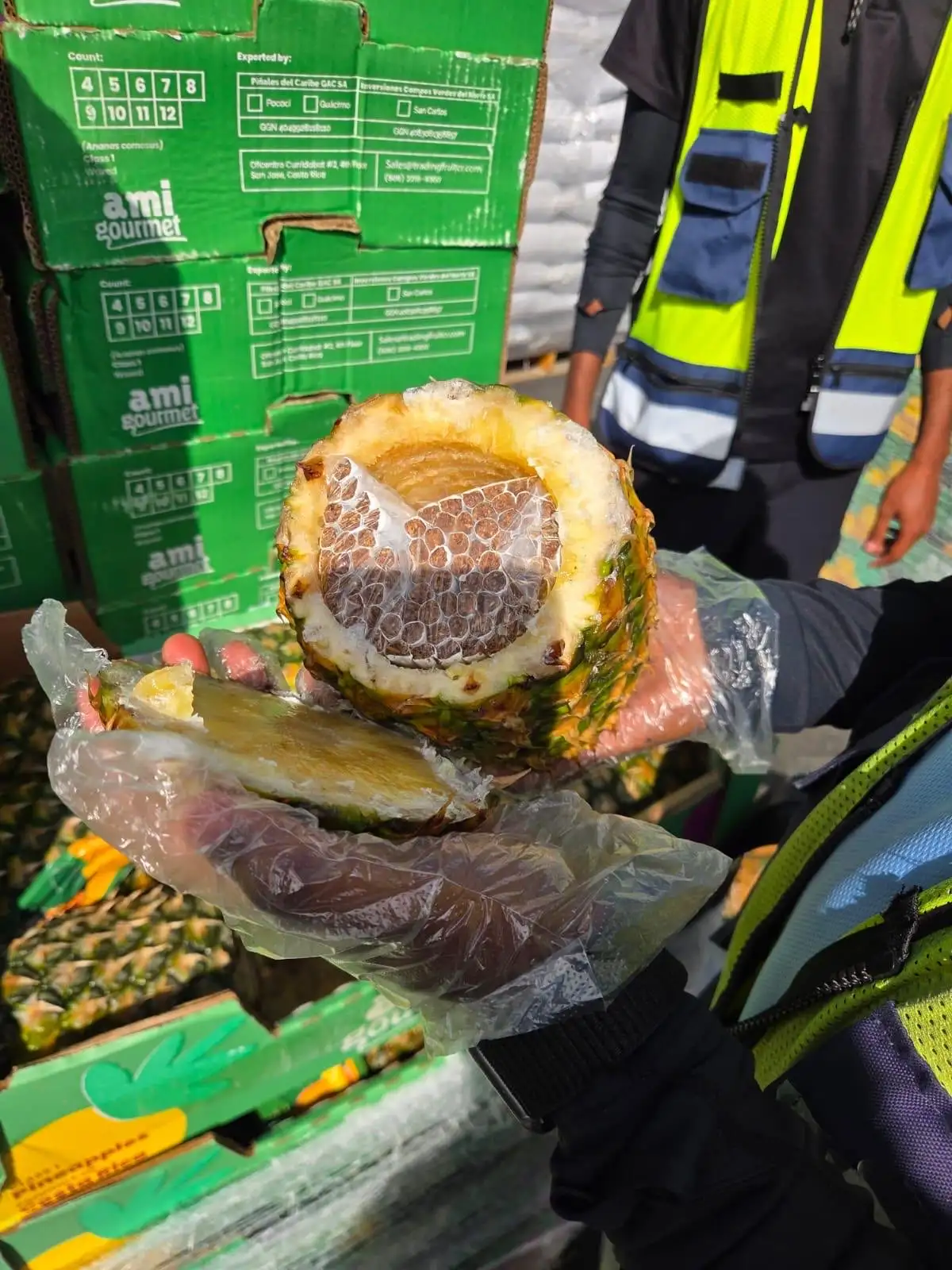 Thousands of cigarettes found hidden inside Gaza pineapple shipment