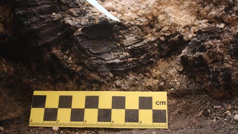 Burned wooden beams from First Temple-era destruction uncovered in Jerusalem