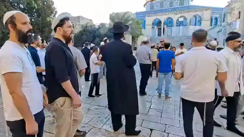 Shin Bet foils ISIS plot targeting Temple Mount, IDF base