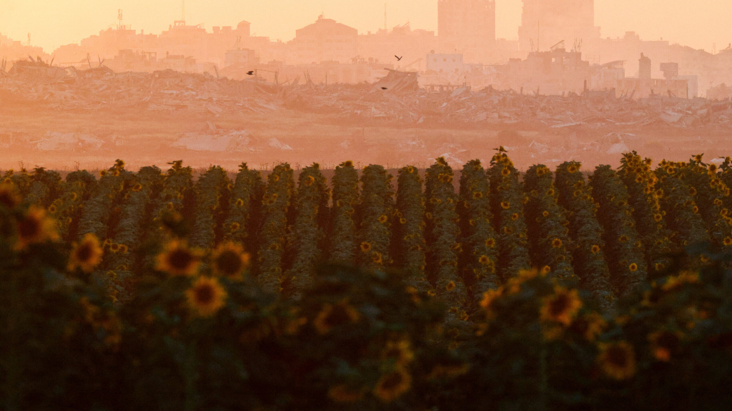 Opinion | The Board of Peace Road Map for Gaza Gives Hope