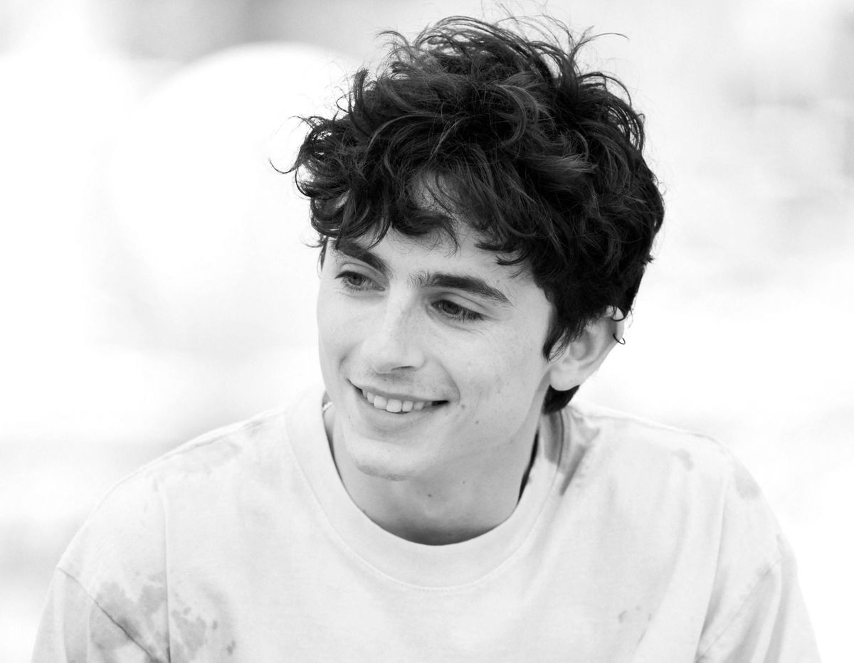 Tzvi on Timothée Chalamet – Tablet Magazine