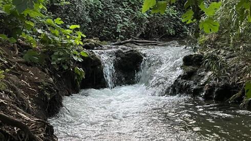 Northern Israel’s best summer dips, just steps from the road