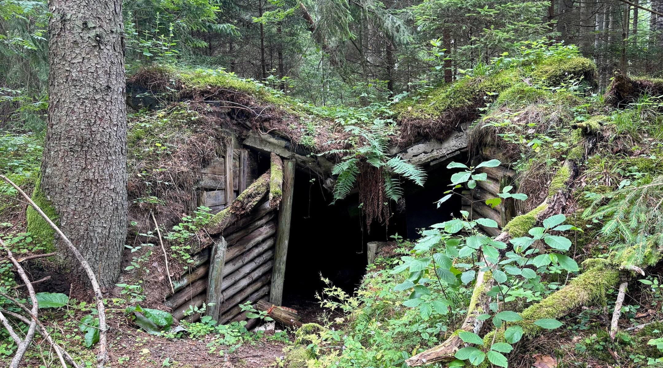 In a forest where Jews fought the Nazis, a German military base and Lithuanian politics encroach on memory