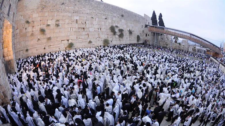 Sukkot together