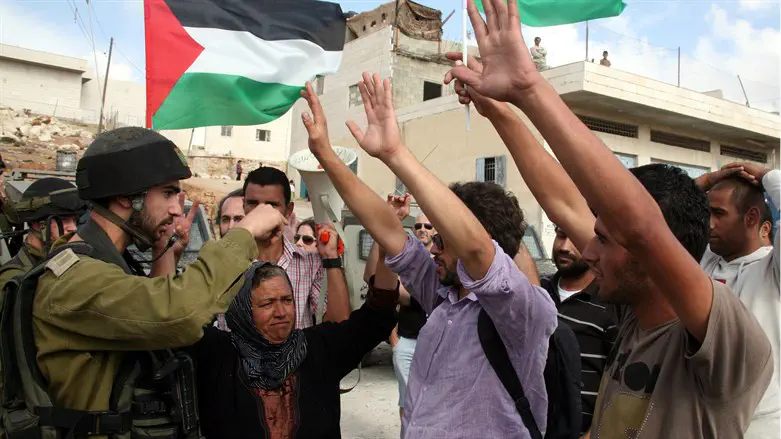 Report: Two foreign left-wing activists face aliyah freeze