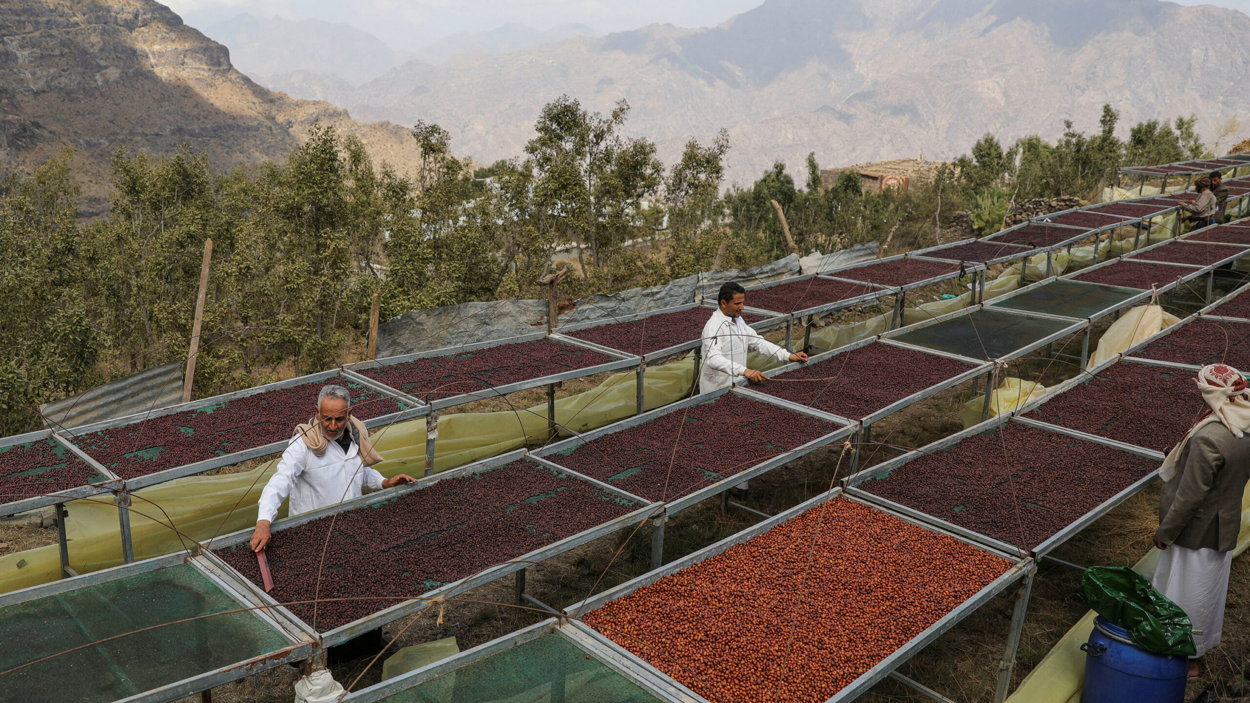 Why Mokha, Historic Port That Shaped the Coffee Trade, Is a Prize in Yemen’s War