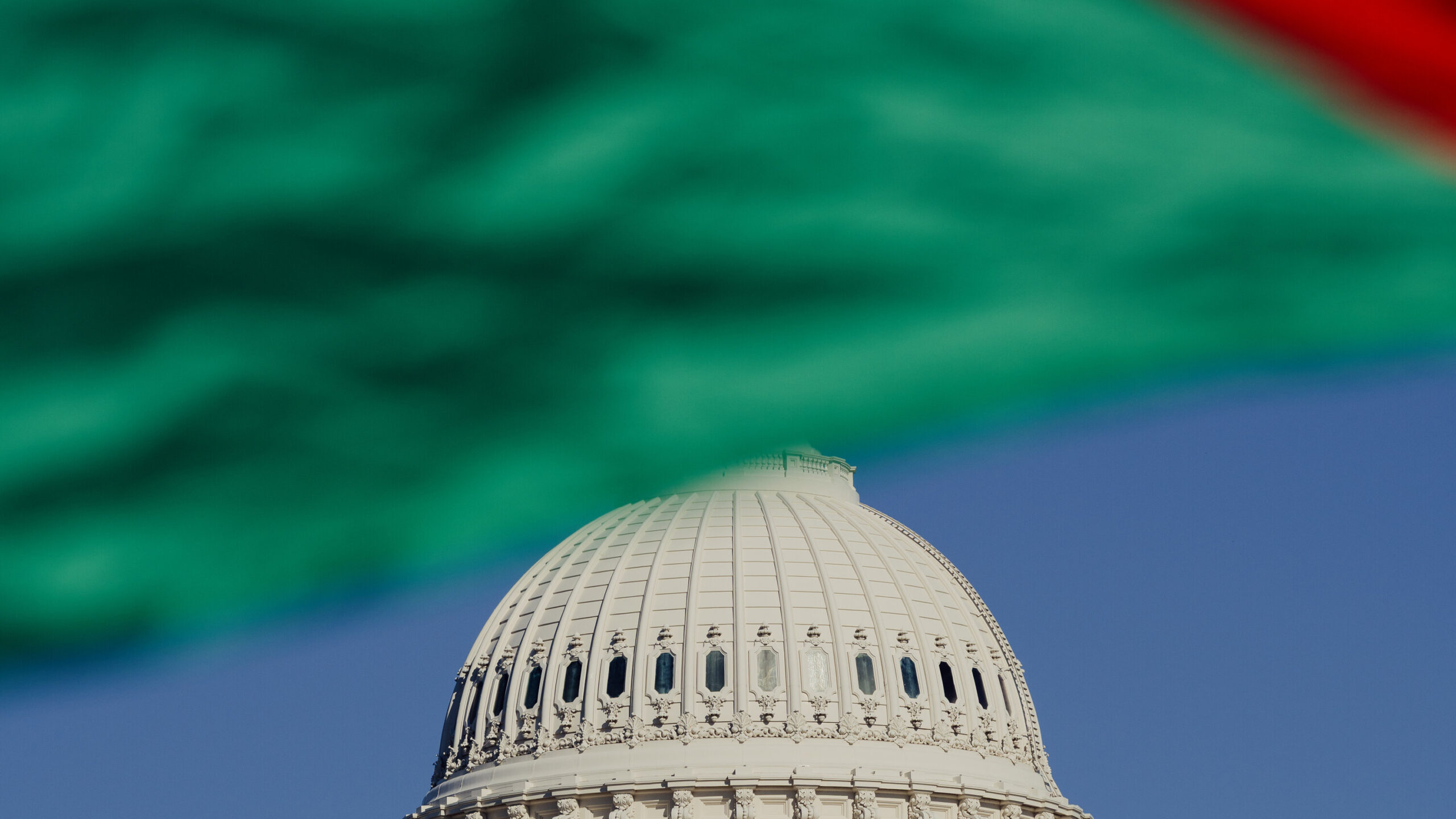 Opinion | The Democrats’ Policy on Palestine Is Detached From Reality