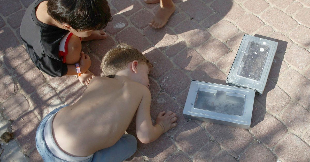 Rodent outbreak hits Israeli Gaza border communities, up to 100 caught in some homes