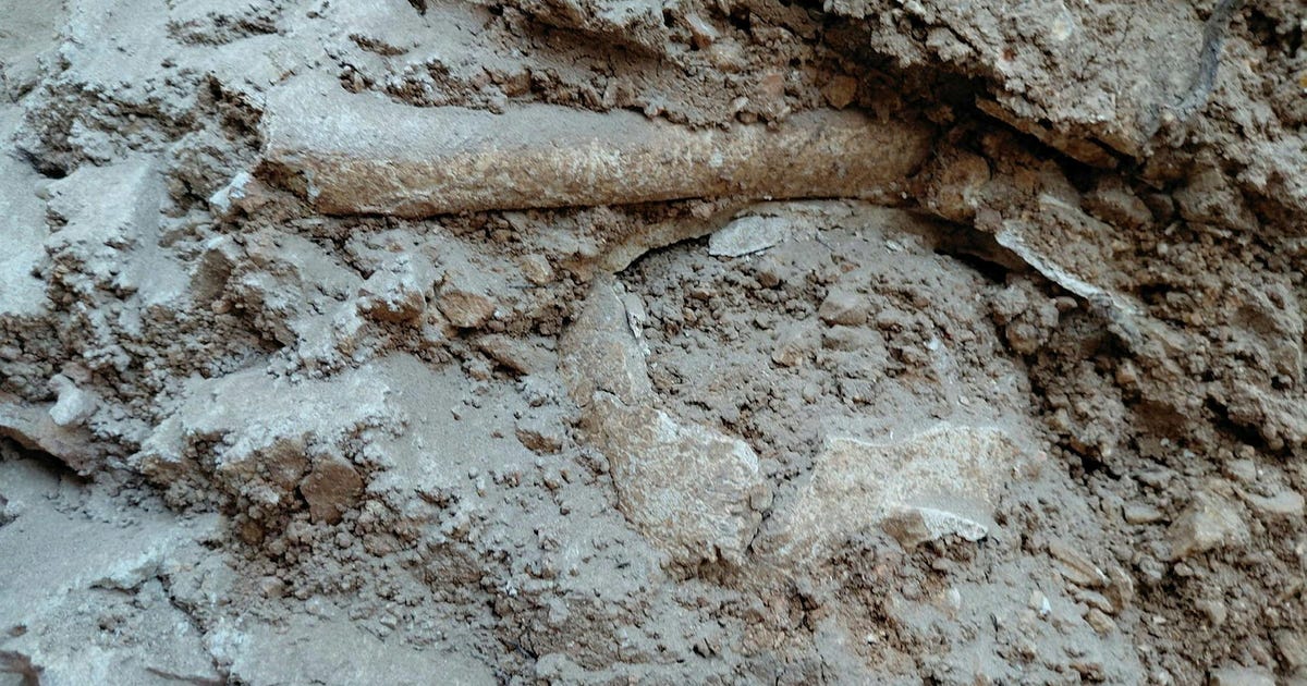 Jerusalem park work uncovers human remains, likely from Muslim cemetery