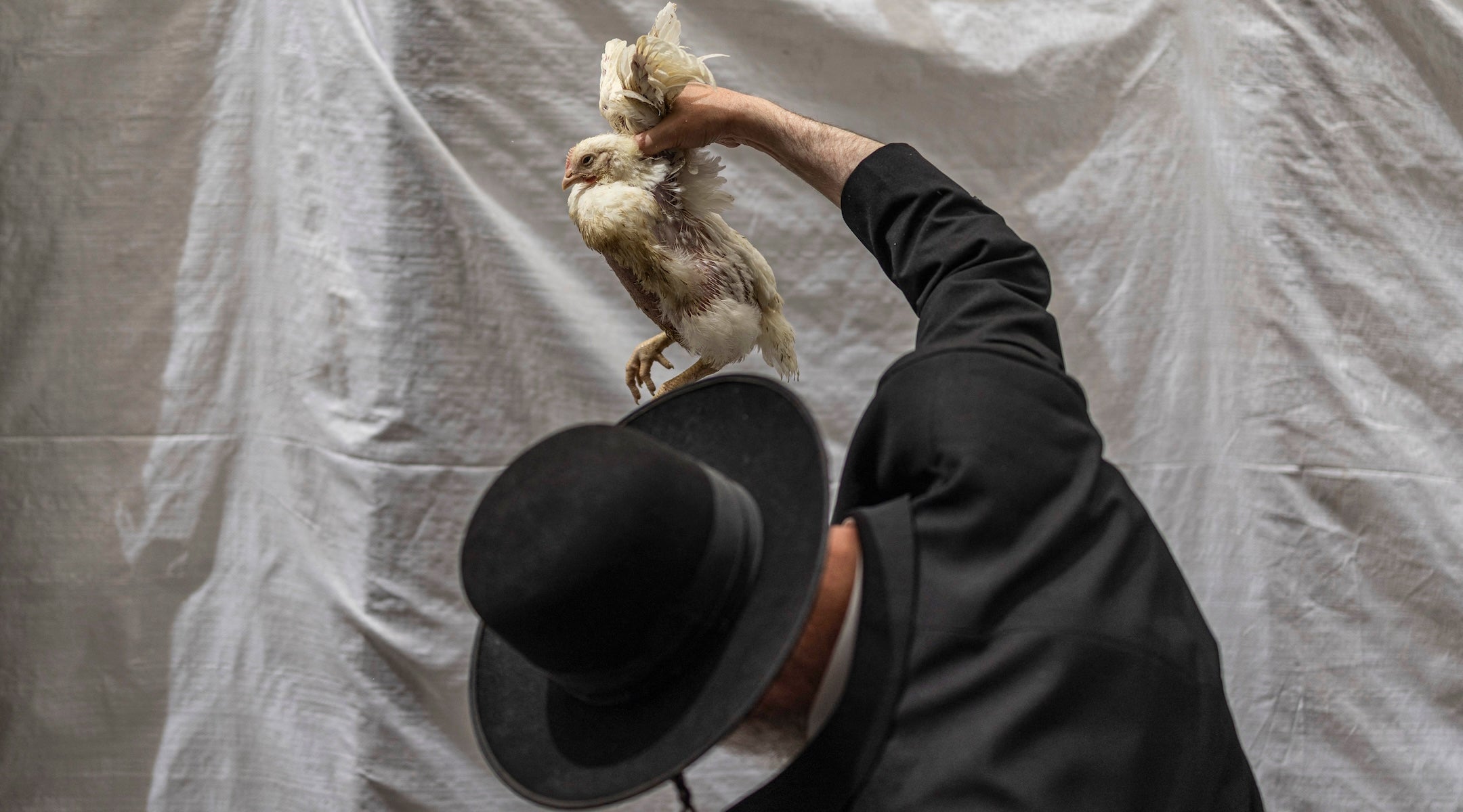 Dead chickens found in trucks likely tied to Orthodox ritual