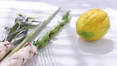 When is Sukkot 2026? Holiday times and halachic guide