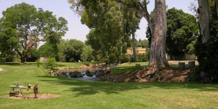This Is Kibbutz Dafna: Choosing Life at Israel’s Northern Border