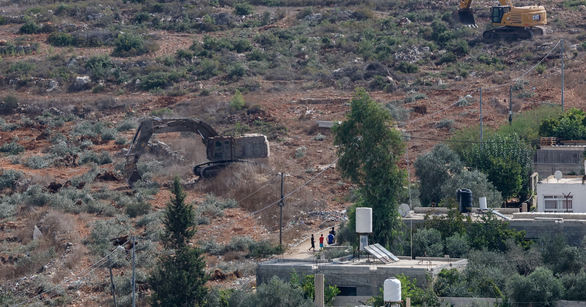Israeli bulldozers smash Palestinian olive trees ahead of annual harvest