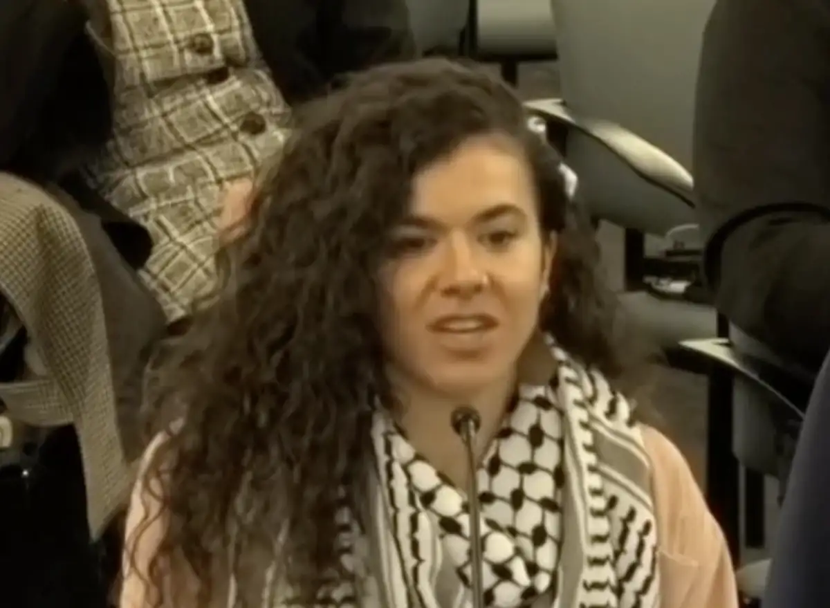 White Jewish pro-Gaza activist ‘with settler family’ admits pretending to be black and Palestinian