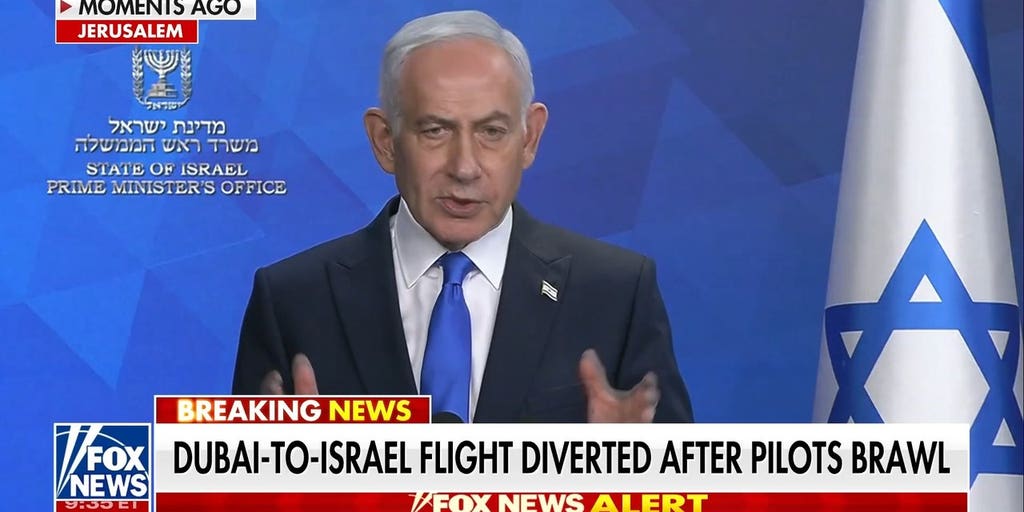 Netanyahu says co-pilot stabbed captain, tried to crash Israel-bound flight | Fox News Video