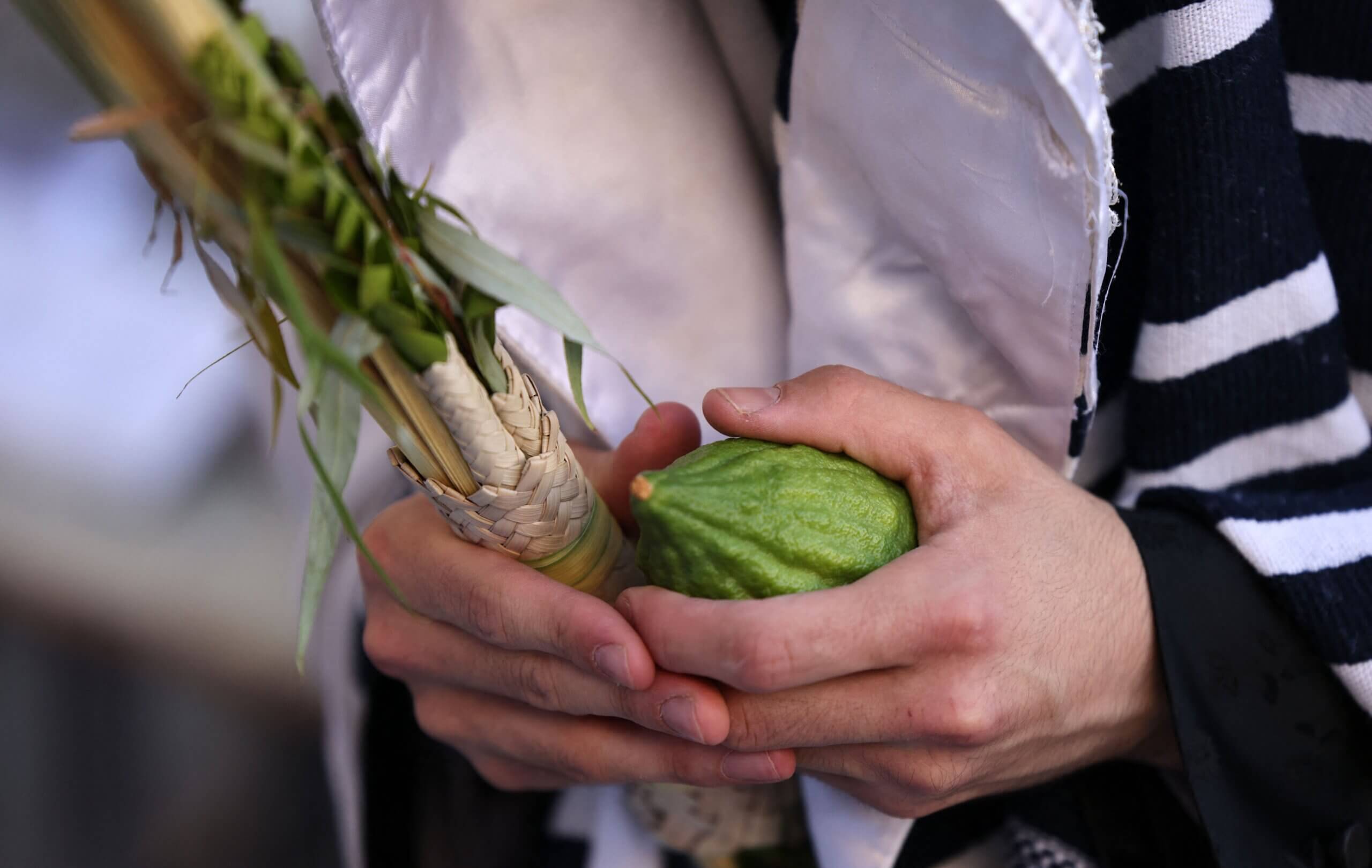 The power of Sukkot to unite the Jewish people