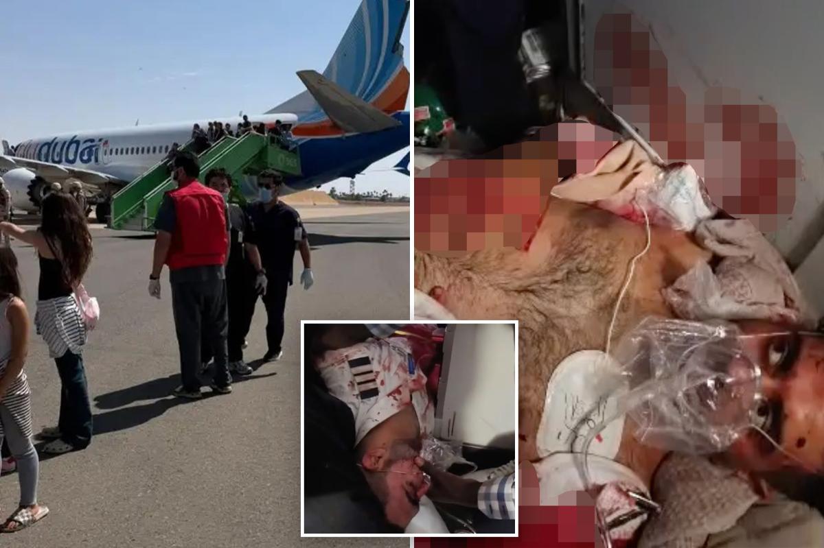 Off-duty pilots on Israel-bound plane heroically landed aircraft after cockpit stabbing, passengers say