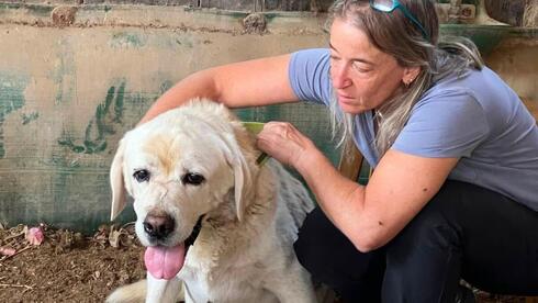 Israeli vet who risked her life to save animals after Oct. 7 wins global award
