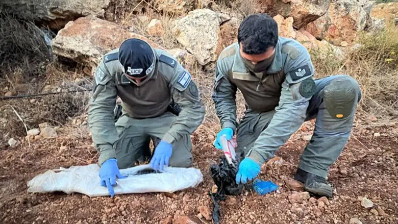 How Israel’s strategic hesitation in Judea and Samaria undermines security