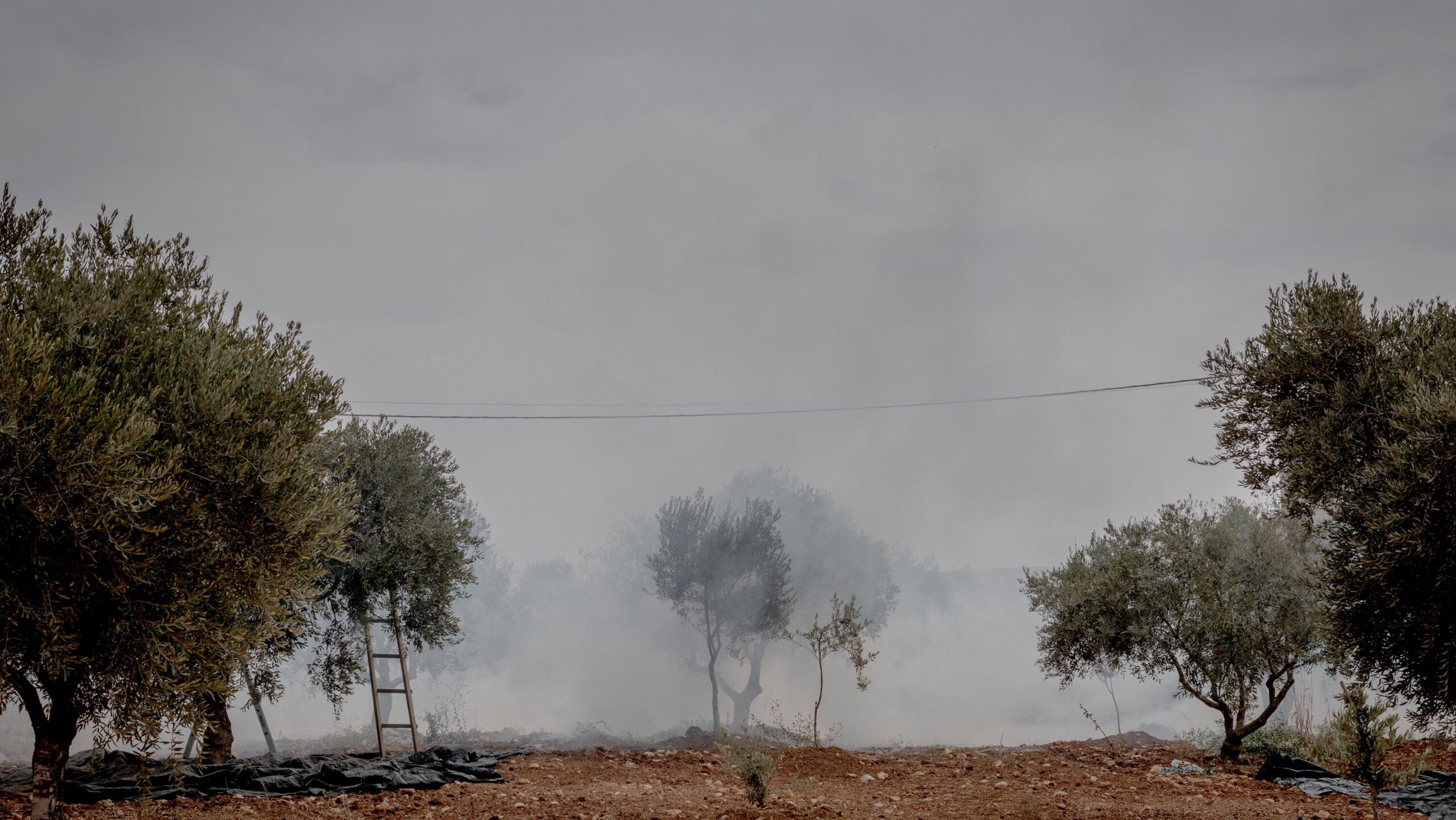 Israeli Settlers Attack Palestinians and European Officials in West Bank
