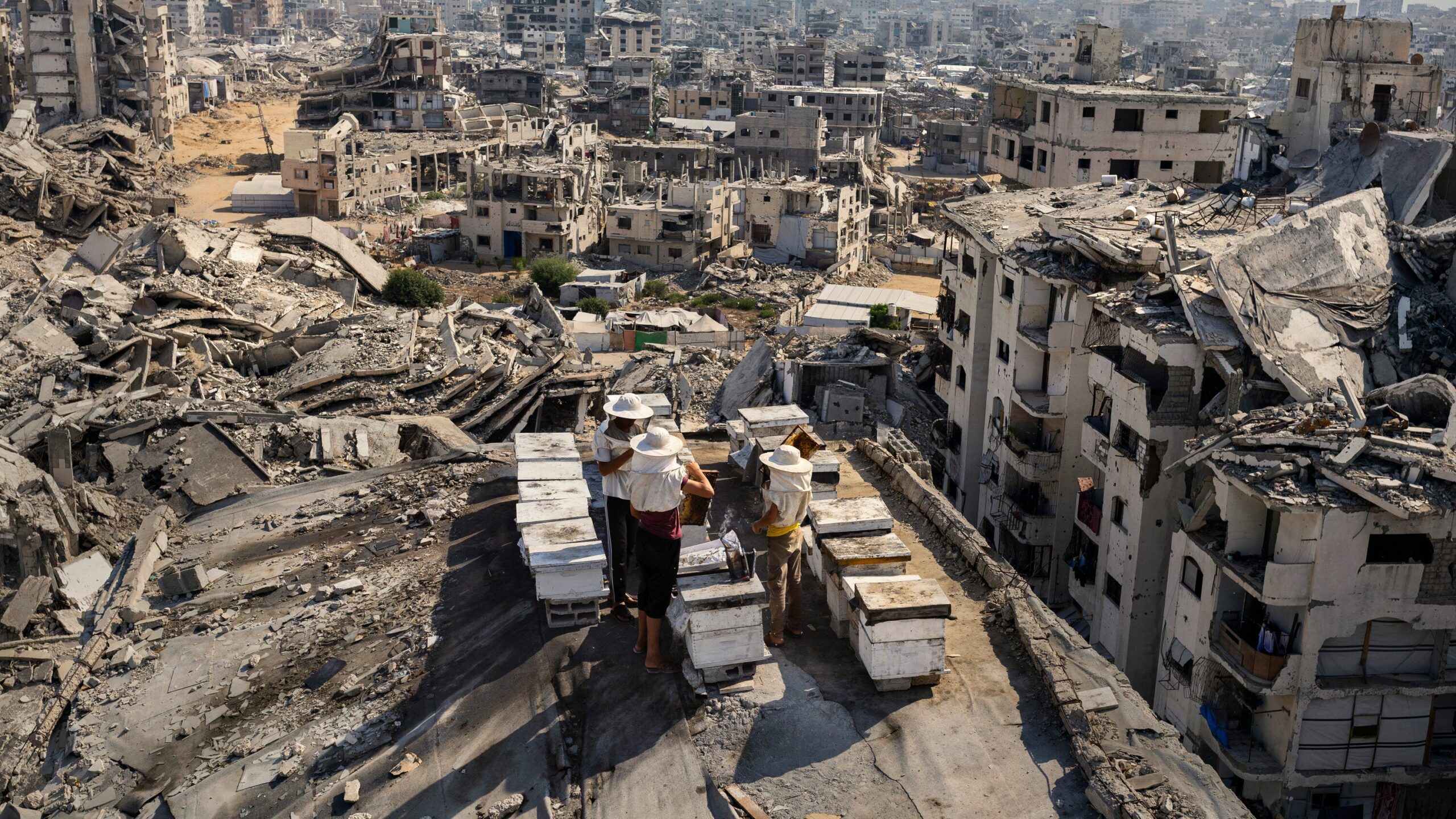 Wringing Hope From the Rubble of Gaza