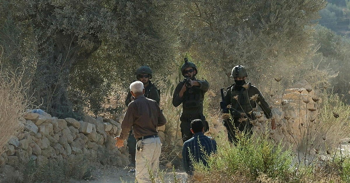 Israeli soldiers and settlers block Palestinian olive harvest in West Bank’s area B