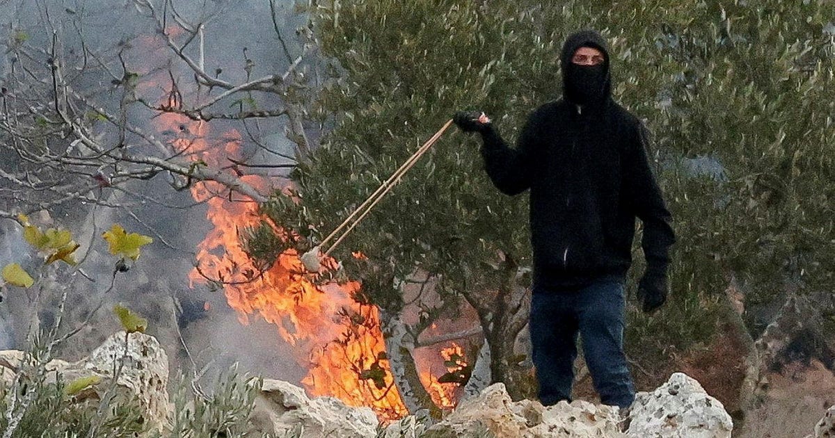 Palestinians report multiple settler attacks on olive harvesters in West Bank, 6 wounded