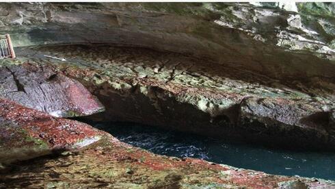 Red algae thrive on as little as 0.5% sunlight in caves on Israel’s Lebanon border