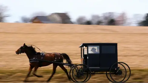 An unlikely connection: How an Orthodox Jewish scholar found family among the Amish