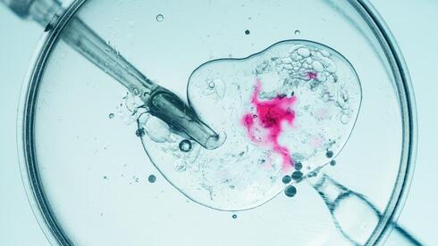 Another IVF scandal in Israel: Father says son was conceived using another man’s sperm