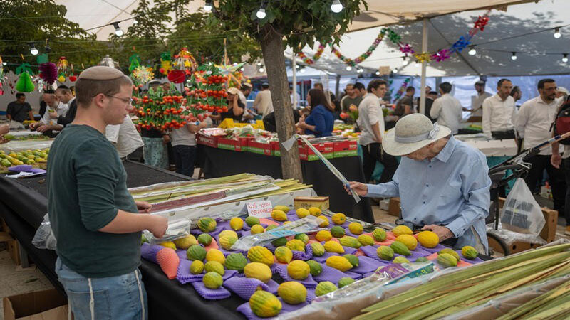 Planning for Sukkos in a Jewish State