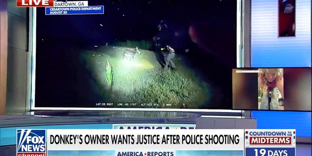 Donkey owner demands justice after police shooting kills beloved pet | Fox News Video